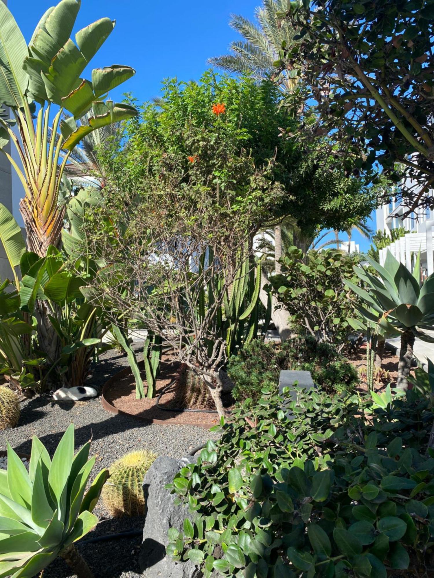 Sun And Surf Stay Corralejo Exterior foto